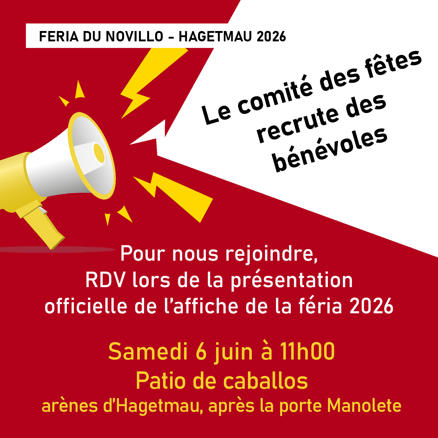 Lire la suite à propos de l’article Vous voulez devenir bénévole ou vous l&rsquo;êtes déjà&nbsp;? RDV le 6 juin à 11h